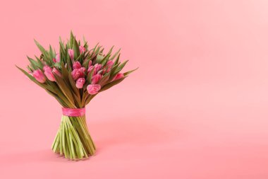 Pembe zemin üzerinde güzel laleler buketi, metin için boşluk