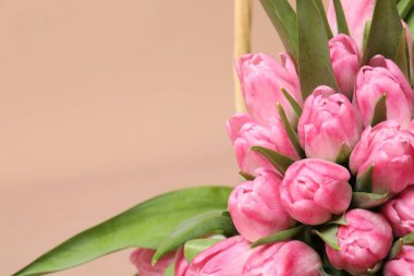 Bej arka planda bir buket güzel lale, yakın plan. Metin için boşluk