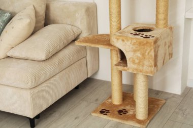 Oturma odasında şık kedi ağacı ve kanepe