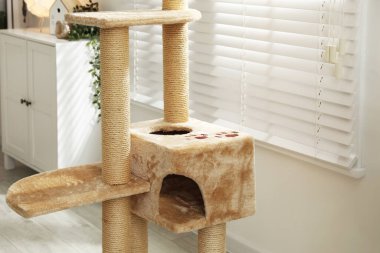 Şık kedi ağacı ve çekmeceler oturma odasında.