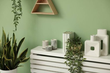 Saksı çiçekleri, farklı ev dekorasyonu ve açık yeşil duvarın yanındaki çekmeceler.