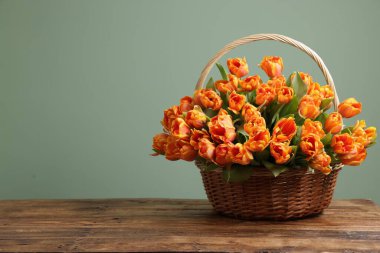 Hasır sepetteki güzel laleler açık yeşil arka planla ahşap masanın üzerinde. Metin için boşluk