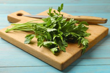 Taze maydanoz ve bıçak açık mavi ahşap masada, yakın plan.