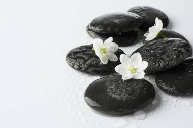 Islak spa taşları ve beyaz arka planda güzel çiçekler, yakın plan. Metin için boşluk