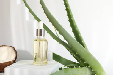 Saç tedavisi. Kozmetik ürün, hindistan cevizi ve aloe yaprakları beyaz arkaplanda