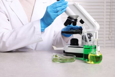 Biyokimya. Laboratuvarda, gri masada bitki ve sıvılarla çalışan bilim adamı.