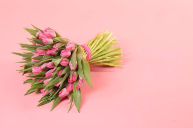 Pembe zemin üzerinde güzel laleler buketi, metin için boşluk