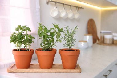 Mutfaktaki beyaz mermer tezgahta farklı aromatik otlar var.