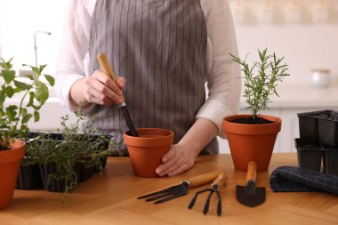 Mutfaktaki masaya bitki eken kadın, yakın plan.