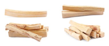 Palo Santo beyaz arka plana yapışıyor.