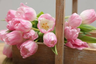 Güzel laleler ahşap sepetin içinde masada, gri arka planda, yakın plan