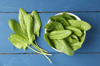 Taze yeşil kuş yaprakları mavi ahşap masada, düz yatıyordu.
