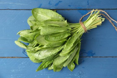 Mavi ahşap masanın üstünde taze yeşil kuş yaprakları var.