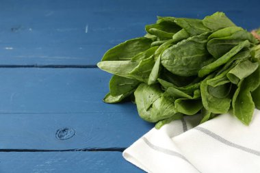 Mavi ahşap masanın üzerinde bir demet taze yeşil kuş yaprağı, yakın plan. Metin için boşluk