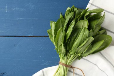 Mavi ahşap masanın üstünde taze yeşil defne yaprakları var. Metin için boşluk