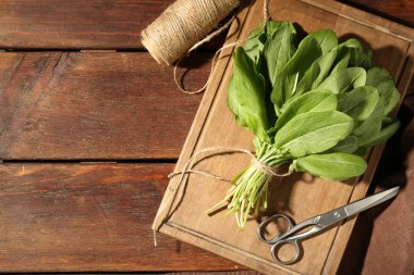 Bir demet taze yeşil doru yaprak, makas ve tahta masa üzerinde sicim düz yatıyordu. Metin için boşluk