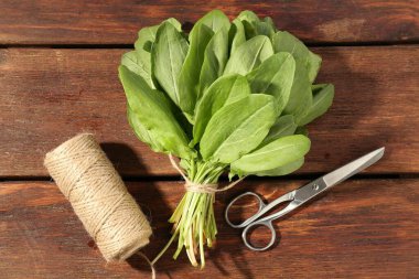 Bir demet taze yeşil kuş yaprağı, makas ve sicim ahşap masada, düz yatıyordu.