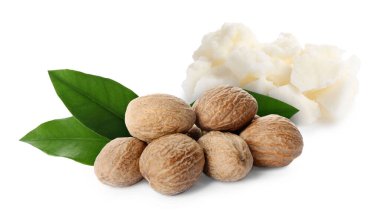 Doğal Shea yağı, fındık ve yeşil yapraklar beyaza izole edilmiş.