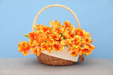 Hasır sepetin içindeki güzel laleler Gri kanepede, mavi duvarın karşısında