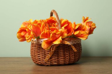 Hasır sepetin içindeki güzel laleler açık yeşil arka plana karşı ahşap masada.