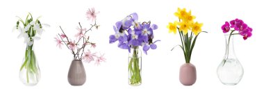 Beyaz vazolardaki farklı güzel çiçeklerden buketler.