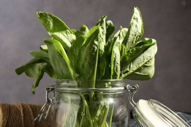 Gri arkaplanda cam kavanozda taze kuş, yakın plan.