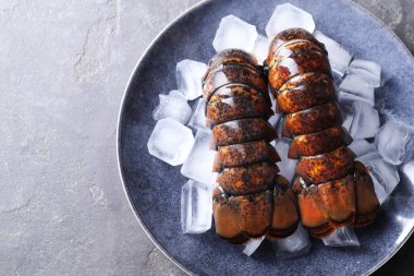 Çiğ ıstakoz kuyruğu ve gri masa, üst manzara. Metin için boşluk