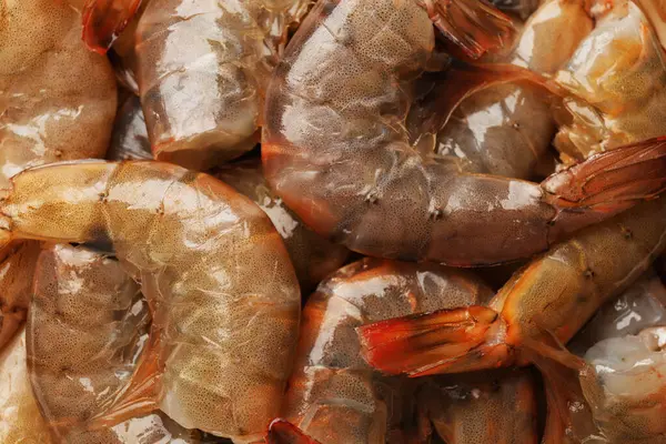 Arka plan olarak taze çiğ karidesler, yakın plan. Deniz yiyeceği