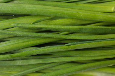 Fresh green onions as background, top view