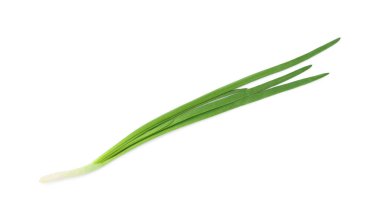 Taze yeşil soğan beyaz, üst görünümde izole