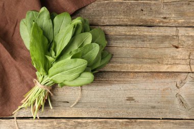 Ahşap masanın üstünde taze yeşil kuş yaprakları var. Metin için boşluk