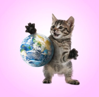 Uluslararası kedi günü. Hafif mor arka planda toprak küreyle oynayan sevimli kedi yavrusu.