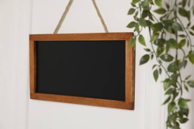 Boş küçük karatahta ve beyaz duvarda yeşil ev bitkisi