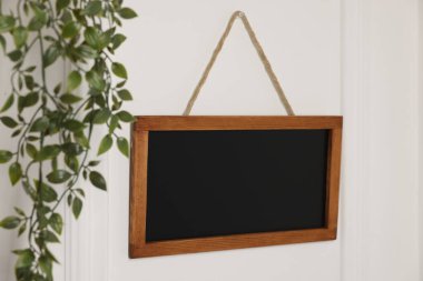 Boş küçük karatahta ve beyaz duvarda yeşil ev bitkisi