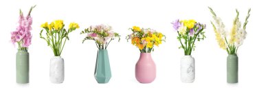 Güzel frezya buketleri ve kılıç çiçekleri beyaz vazolarda izole edilmiş vazolar.