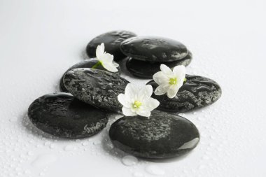 Islak spa taşları ve beyaz arka planda güzel çiçekler, yakın plan.