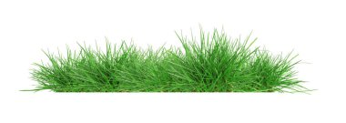 Yeşiller yemyeşil çimenler beyaz, afiş tasarımı