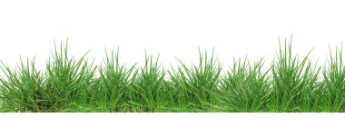 Yeşiller yemyeşil çimenler beyaz, afiş tasarımı