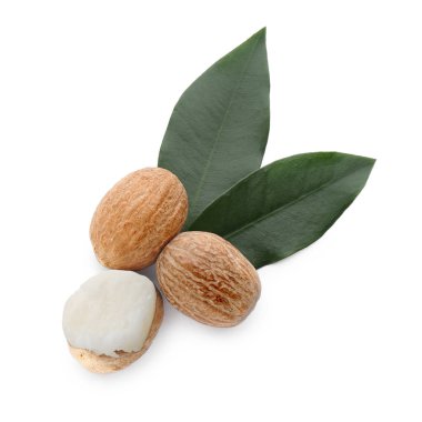 Doğal Shea yağı, fındık ve yeşil yapraklar beyaz üzerine izole, üst manzara