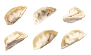 Beyaz arkaplanda pişirilmemiş gyoza seti