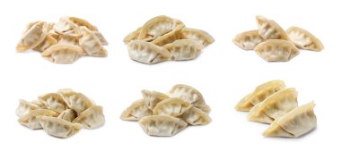 Beyaz arkaplanda pişirilmemiş gyoza seti