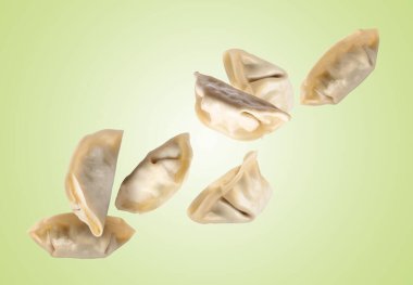 Açık yeşil arka planda pişirilmemiş gyoza