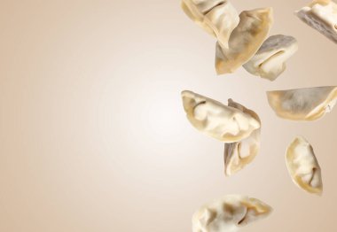 Koyu bej arkaplanda pişmemiş gyoza, metin için boşluk