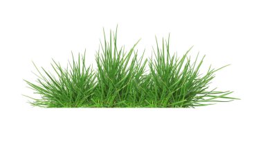 Yeşiller yemyeşil çimenler beyaz, afiş tasarımı