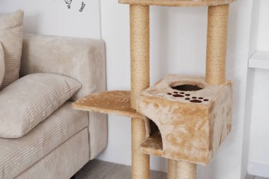 Oturma odasında şık kedi ağacı ve kanepe