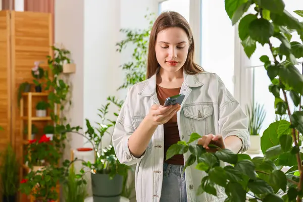 Akıllı telefondan ev bitkisi tanıma uygulaması kullanan bir kadın.