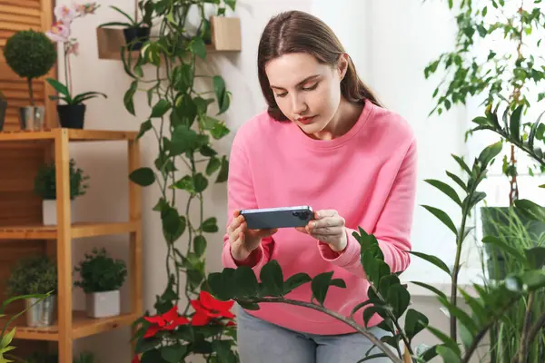 Akıllı telefondan ev bitkisi tanıma uygulaması kullanan bir kadın.