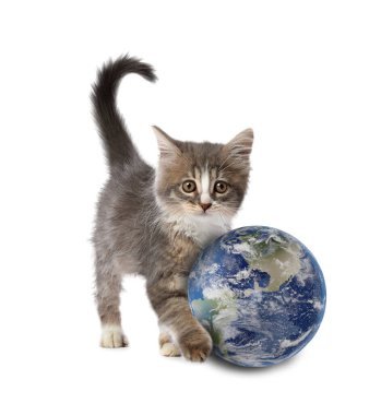 Uluslararası kedi günü. Beyaz arka planda sevimli kedi yavrusu ve toprak küre.