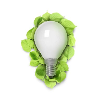 Beyaz arka planda taze yapraklı ampul. Çevre dostu çevre kavramları ve enerji tasarrufu