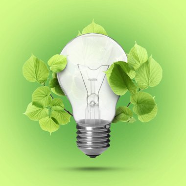 Açık yeşil arka planda taze yapraklı ampul. Çevre dostu çevre kavramları ve enerji tasarrufu